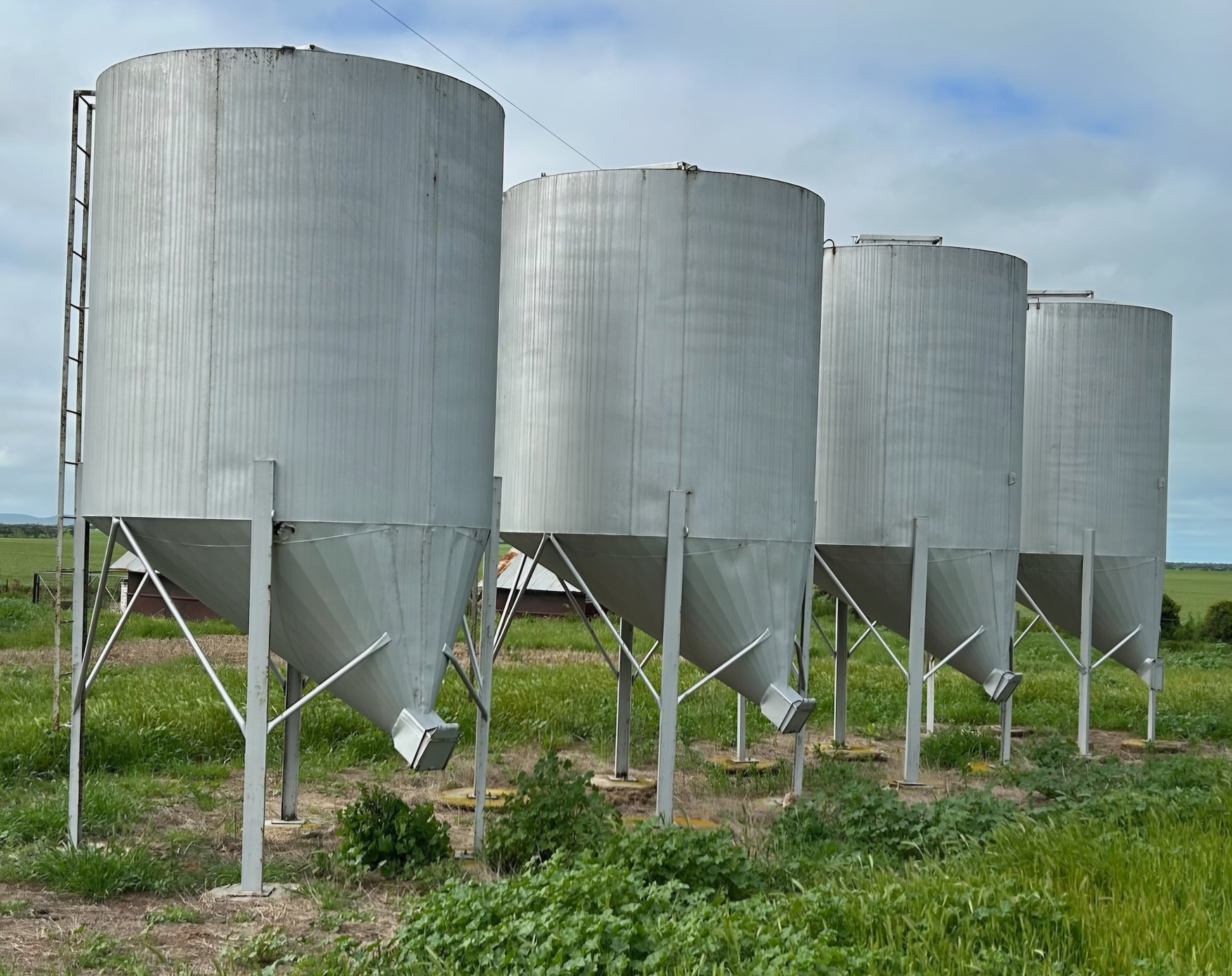 Thomson Silo 4